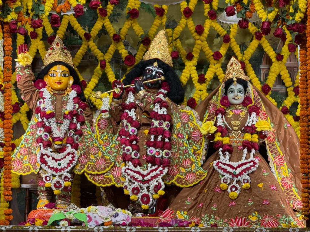 WhatsApp Image 2026-03-04 at 2.40.25 PM